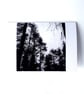 Forest Card - READY TO SHIP - Image 4