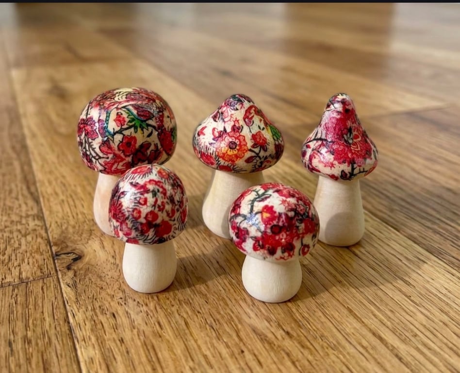 Set of 5 Wooden Minature Toadstools 