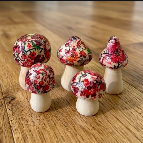 Set of 5 Wooden Minature Toadstools 