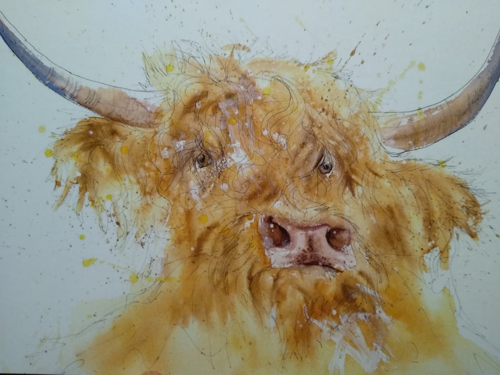 A4 or A3 signed Art Print, Highland Cow 2