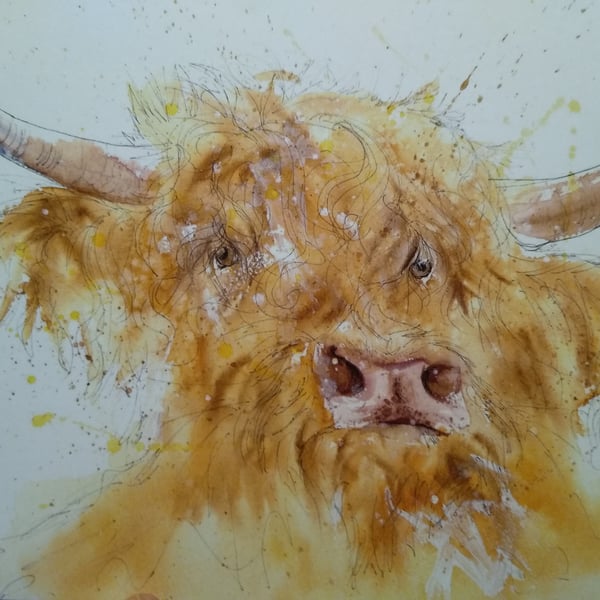 A4 or A3 signed Art Print, Highland Cow 2