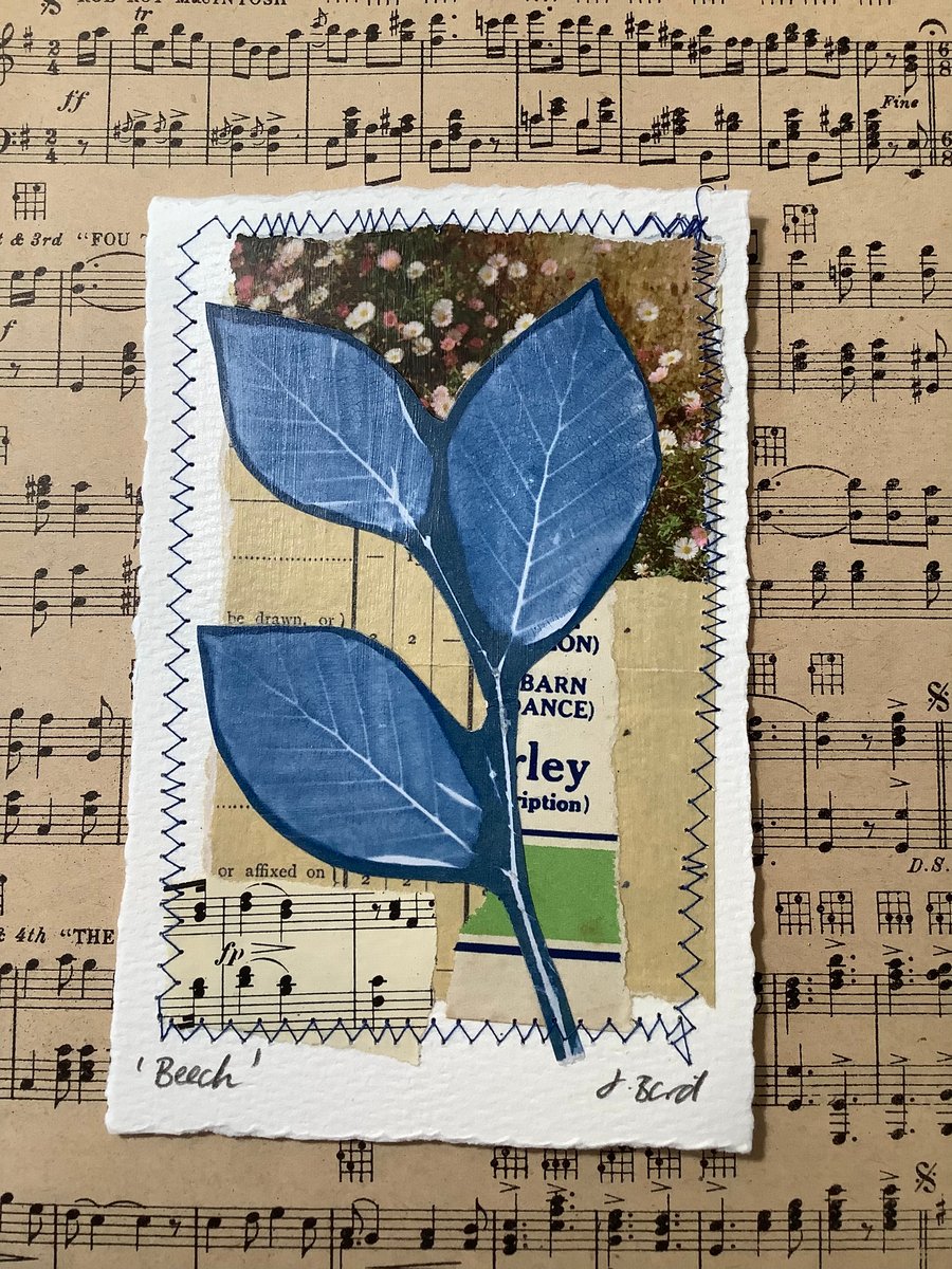 Nature inspired cyanotype. Ferns. Beech. Plants. Art. Original