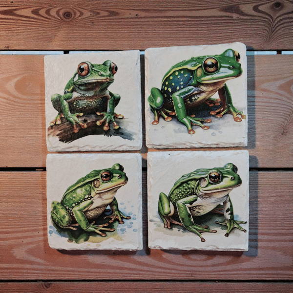 Big Green Beautiful Frog Decoupaged Slate Coasters  Set of 4