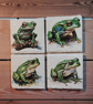 Big Green Beautiful Frog Decoupaged Slate Coasters  Set of 4