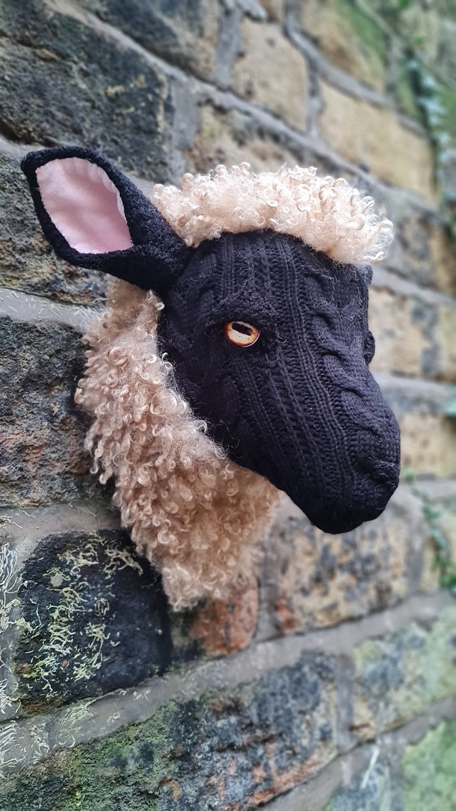 FAO SARAH: Faux black faced sheep head - Sherryl
