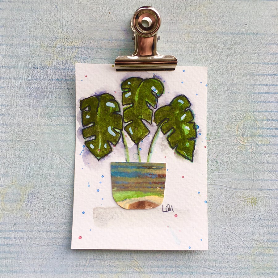 Miniature watercolour and collage traditional ACEO size Monstera house plant 