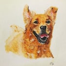 Miniature Pet Portrait - Detail level 3