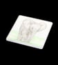 Baby African Elephant - Coaster - Image 1