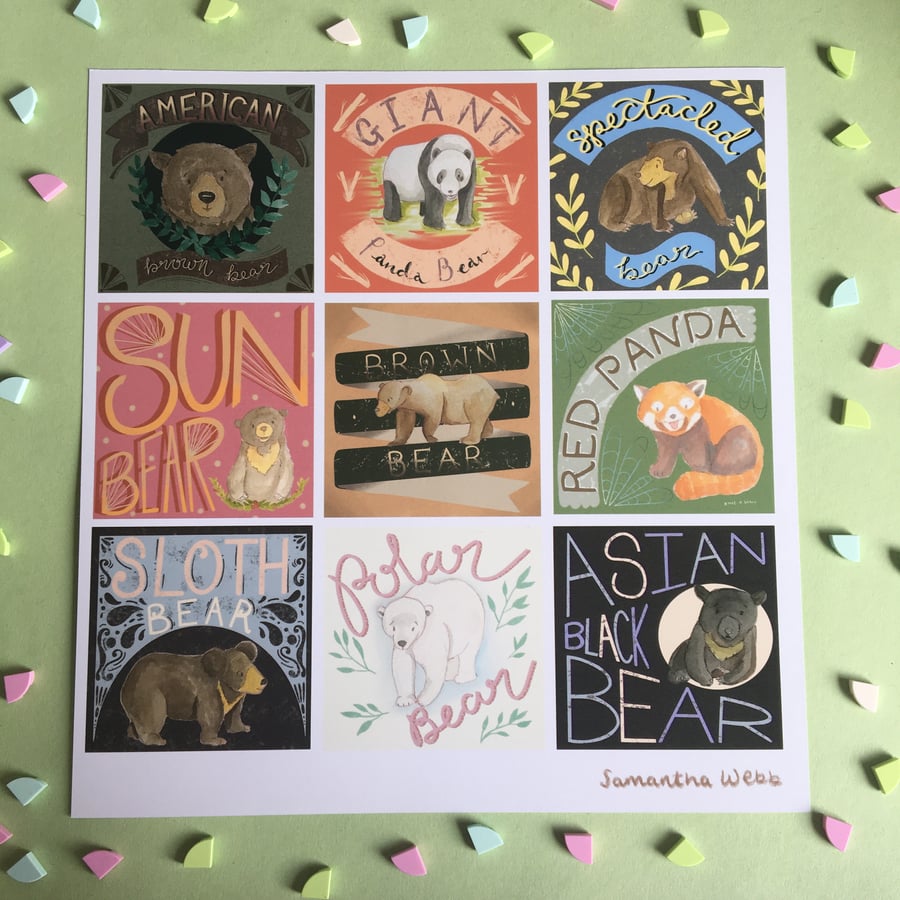 Bear Species poster - Polar bear, Sloth Bear, Panda Bear, Sun Bear 