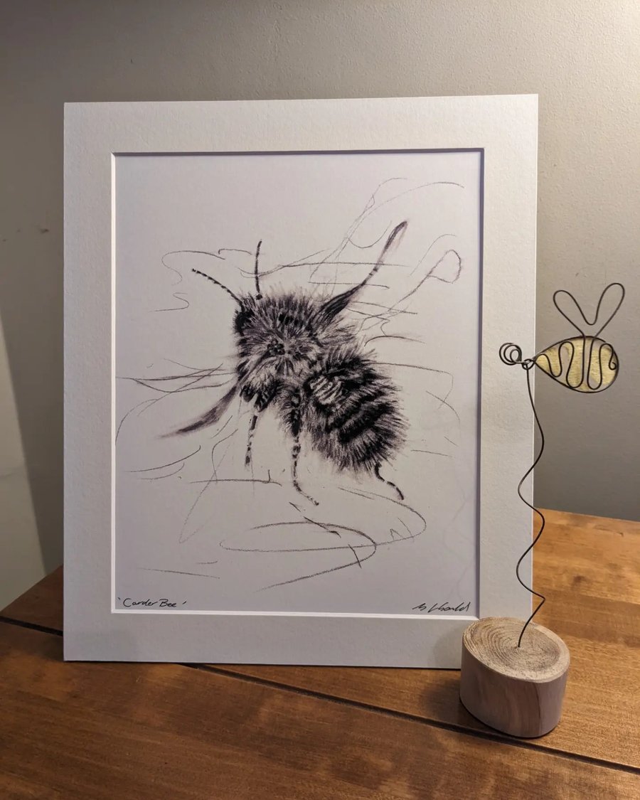 Carder Bumblebee - A print of an original drawing