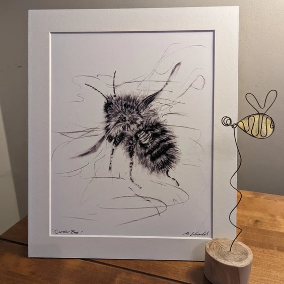 Carder Bumblebee - A print of an original drawing
