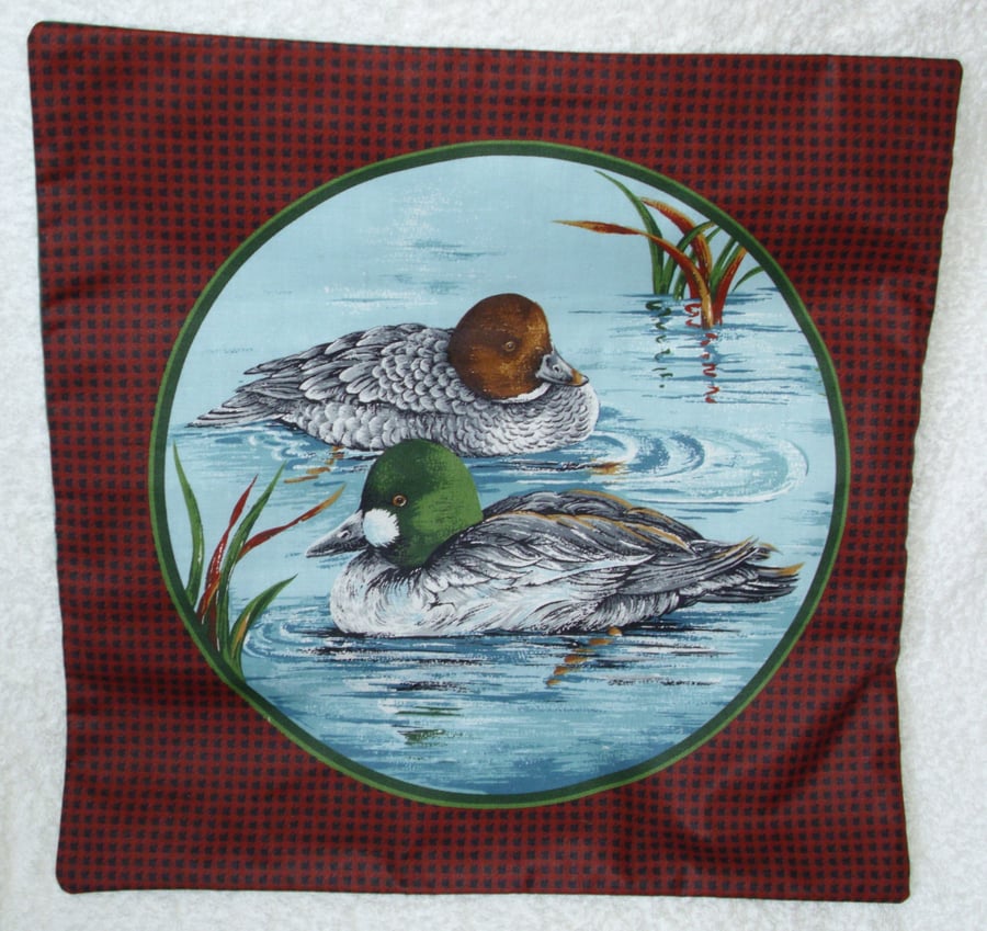 Pair of Ducks ( Pochards ? ) paddling quietly among the reeds cushion