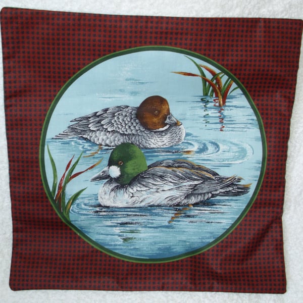 Pair of Ducks ( Pochards ? ) paddling quietly among the reeds cushion
