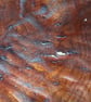 oak leaf shaped bowl - Image 3