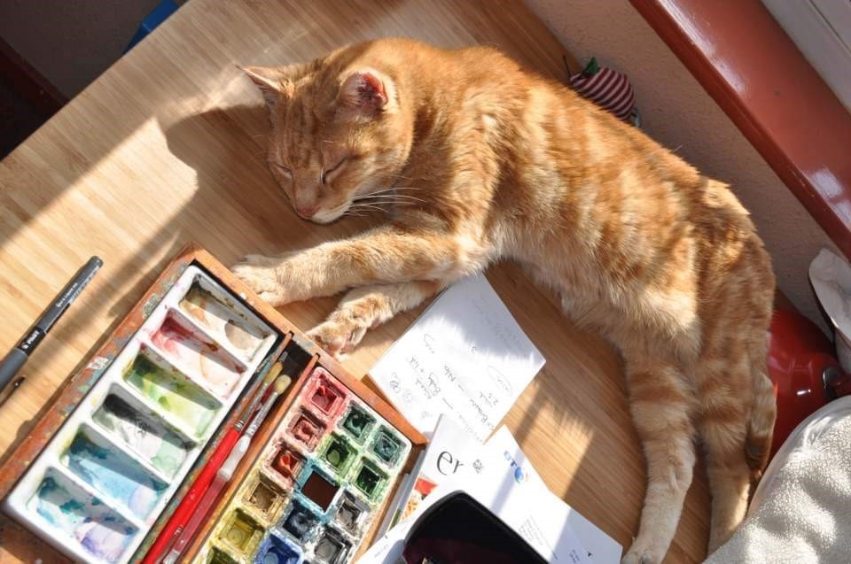 Christine's Teacup Studio                                                                     