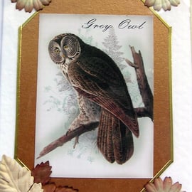 Owl Bird - Hand Crafted Decoupage Card - Blank for any Occasion (2411)