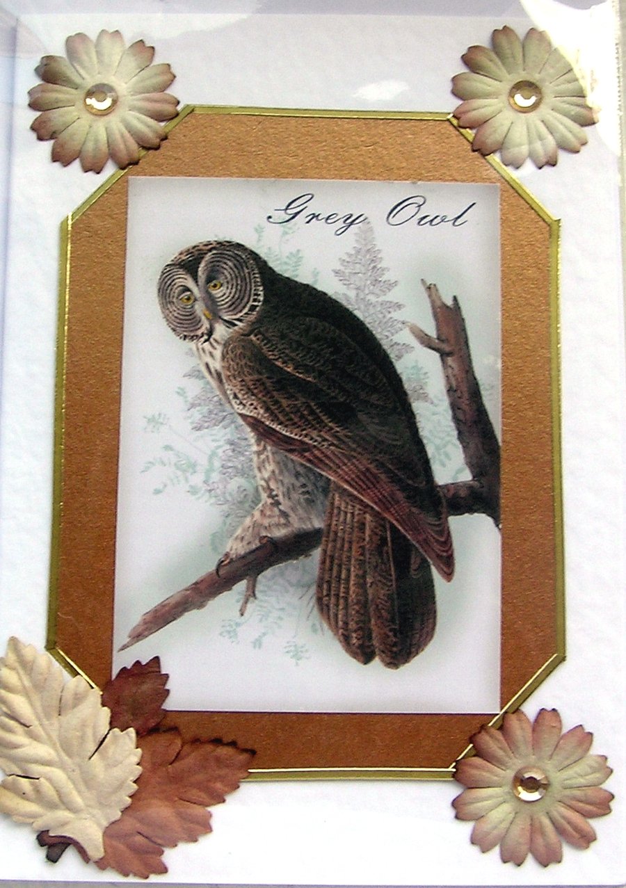 Owl Bird - Hand Crafted Decoupage Card - Blank for any Occasion (2411)