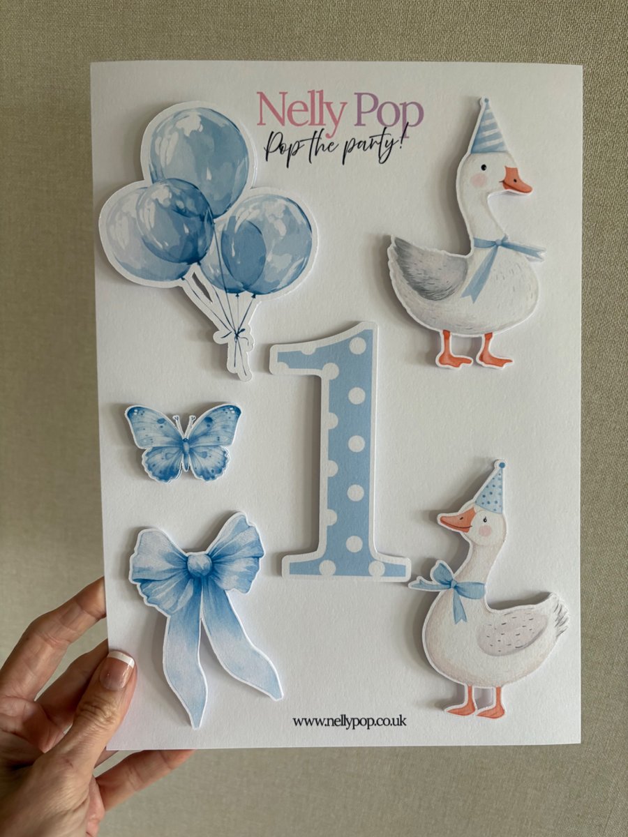 Silly Goose First Birthday Cake Accessory Pack