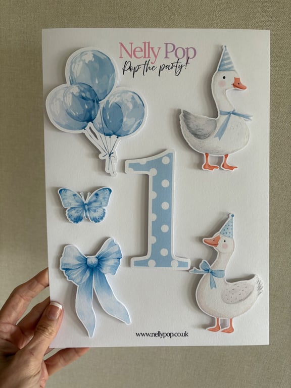 Silly Goose First Birthday Cake Accessory Pack