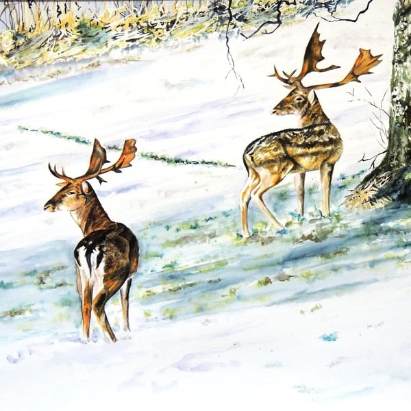 Deer in Winter Original Watercolour Painting.: Fallow Deer Woodland Snow Scene 