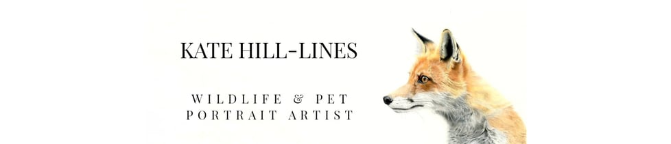 Kate Hill-Lines Art