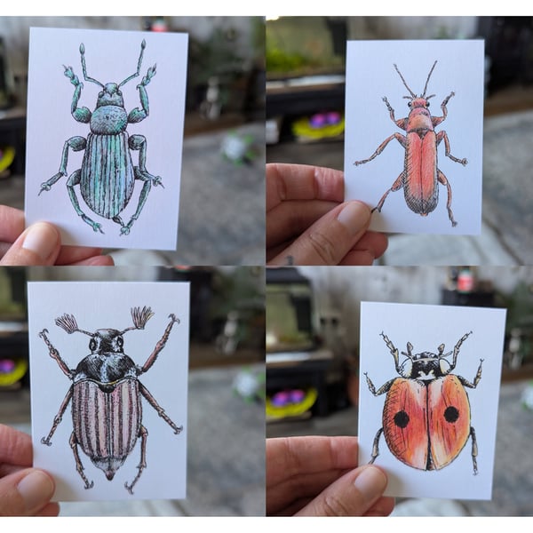 Set of 9 Insect ACEO Illustrations 