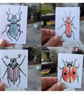 Set of 9 Insect ACEO Illustrations 