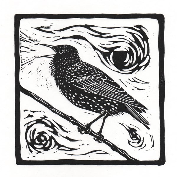 Starling - linocut print of a singing starling