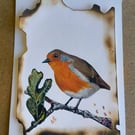 'Aqua Damnatis' Robin Painting 