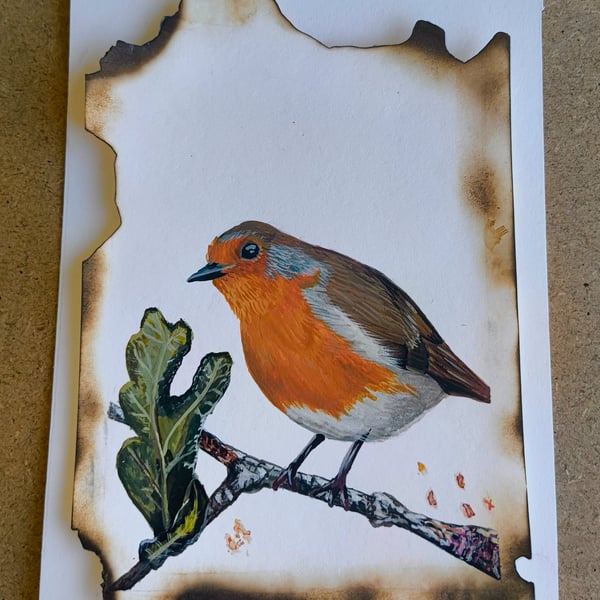 'Aqua Damnatis' Robin Painting 