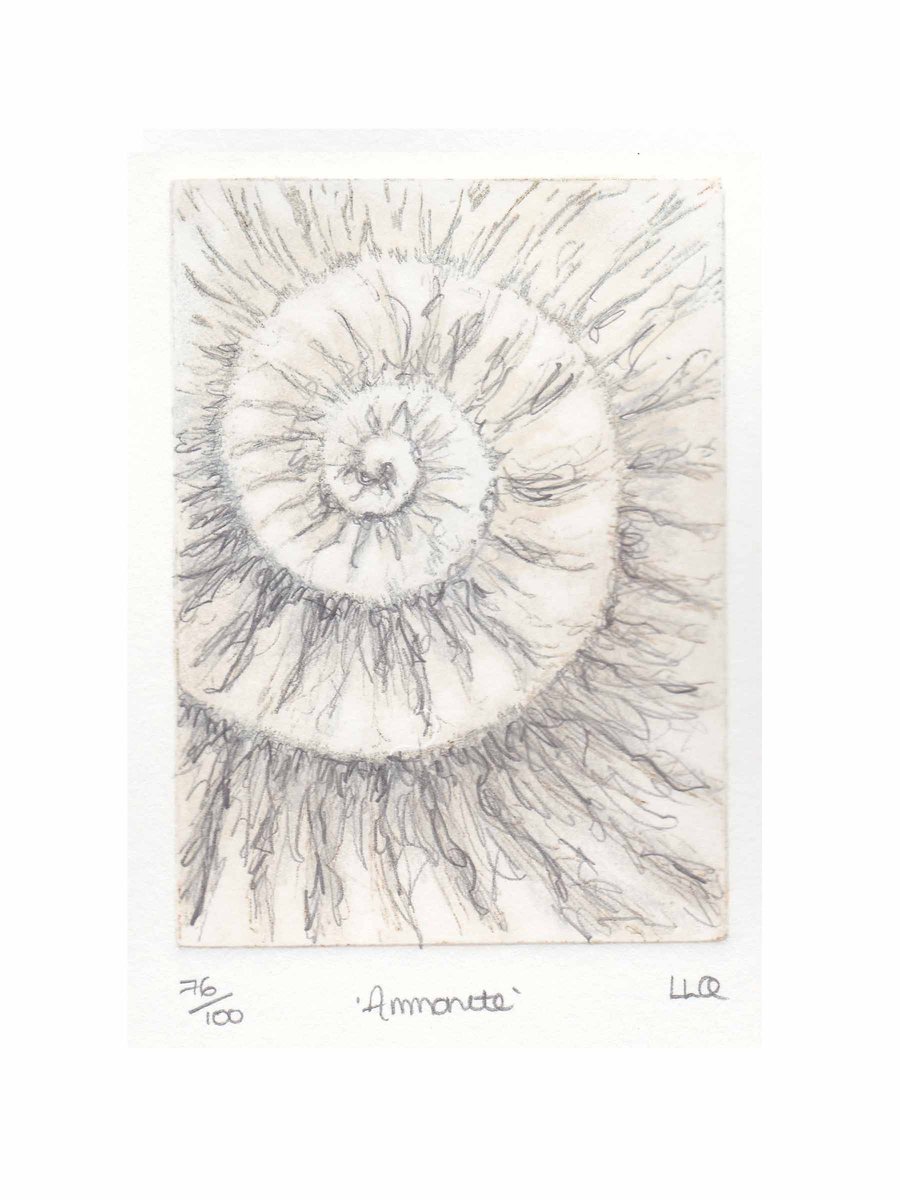 Etching no.76 of an ammonite fossil with mixed media in an edition of 100