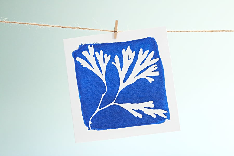 'Seaweed' greetings card