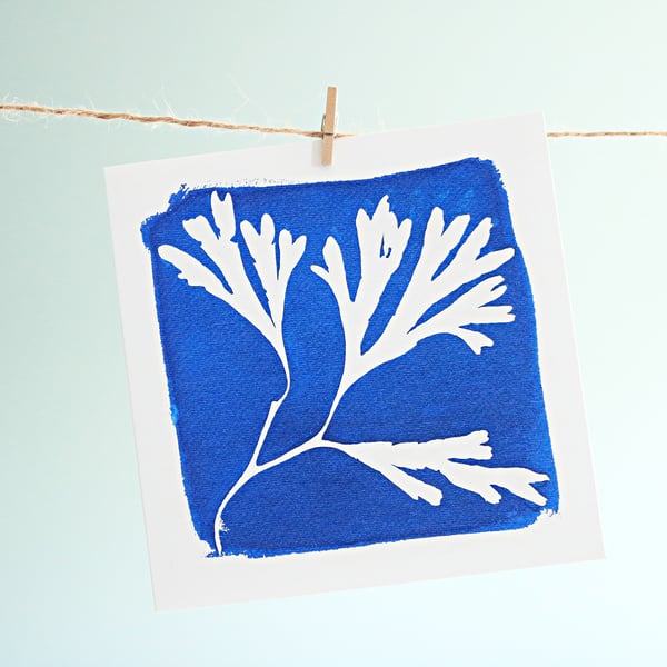 'Seaweed' greetings card