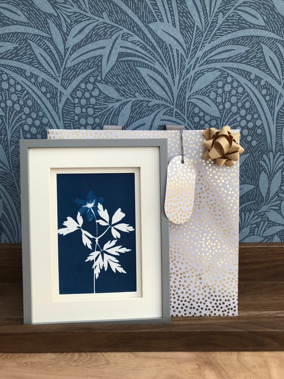 Botanical Art in Contemporary Frame, captures Wood Anemone in Cyanotype.