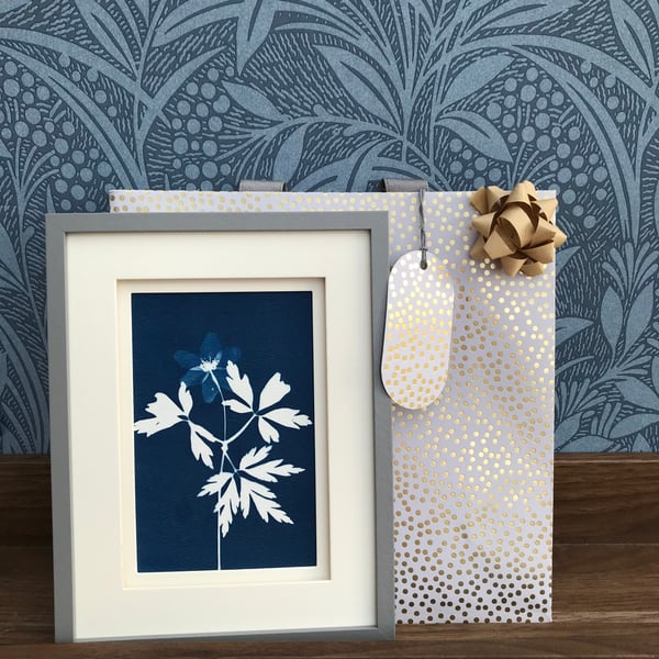 Botanical Art in Contemporary Frame, captures Wood Anemone in Cyanotype.