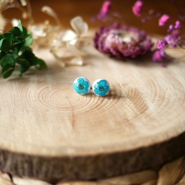 Real Flower Hypoallergenic Stud Earrings - Blue and White