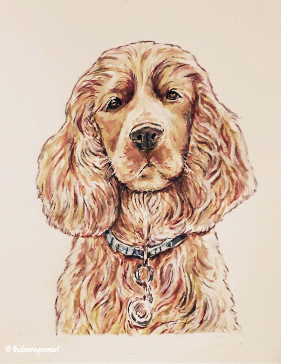 Dog Pet Portrait - Watercolour (bespoke)