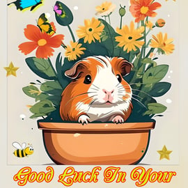 Guinea Pig Good Luck In Your New Home Greeting Card A5