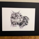 Spike (a tabby cat in charcoal) an A5 or A4 print of an original drawing
