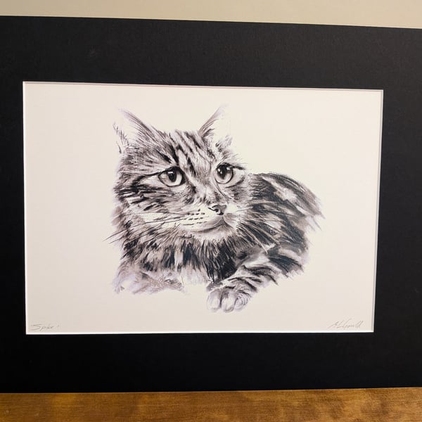 Spike (a tabby cat in charcoal) an A5 or A4 print of an original drawing