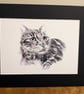 Spike (a tabby cat in charcoal) an A5 or A4 print of an original drawing