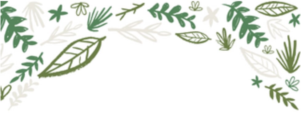 Wilson Carpentry and Craft