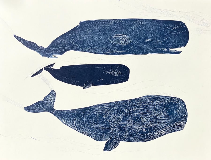 Sperm Whales