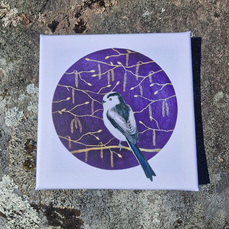 Fuffit in Hazel Catkins Canvas Print 