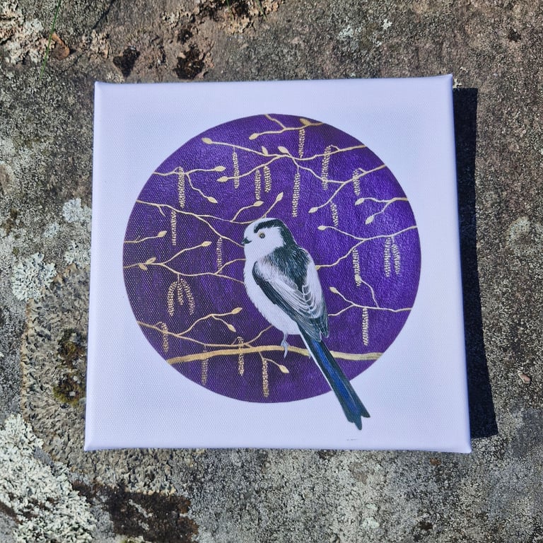 Fuffit in Hazel Catkins Canvas Print 