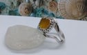 Shore to sea collection rings