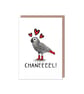 Chanel African Grey Parrot Queen of the Canal - Valentine's Day Anniversary Card