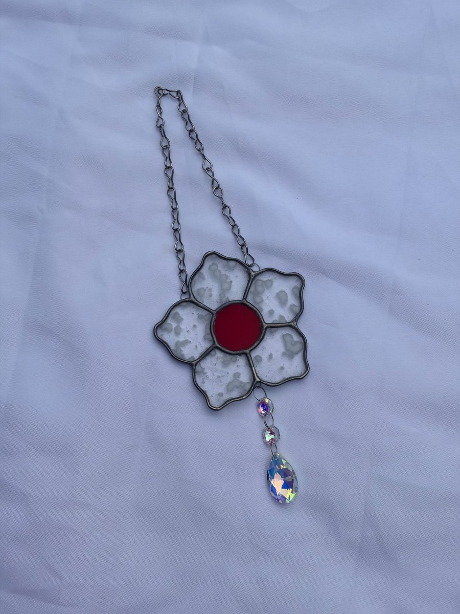 Image of Dotty daisy
