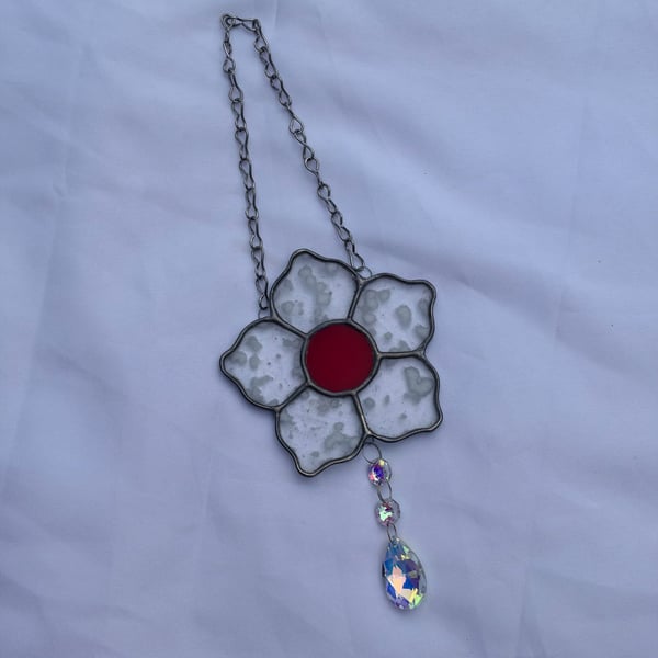 Dotty daisy