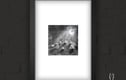 Art Prints